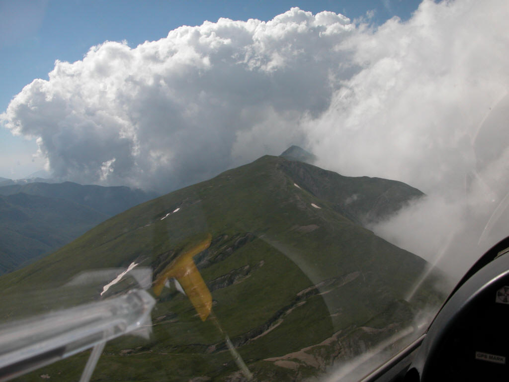 2004 (23)
